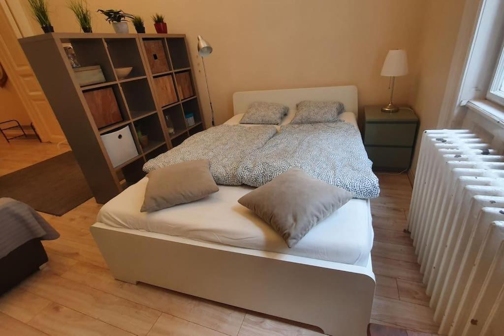 Wesseleny Apartment Near Synagogue With Ac After Renovation Budapest Luaran gambar
