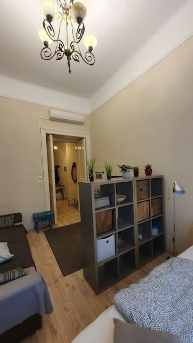 Wesseleny Apartment Near Synagogue With Ac After Renovation Budapest Luaran gambar